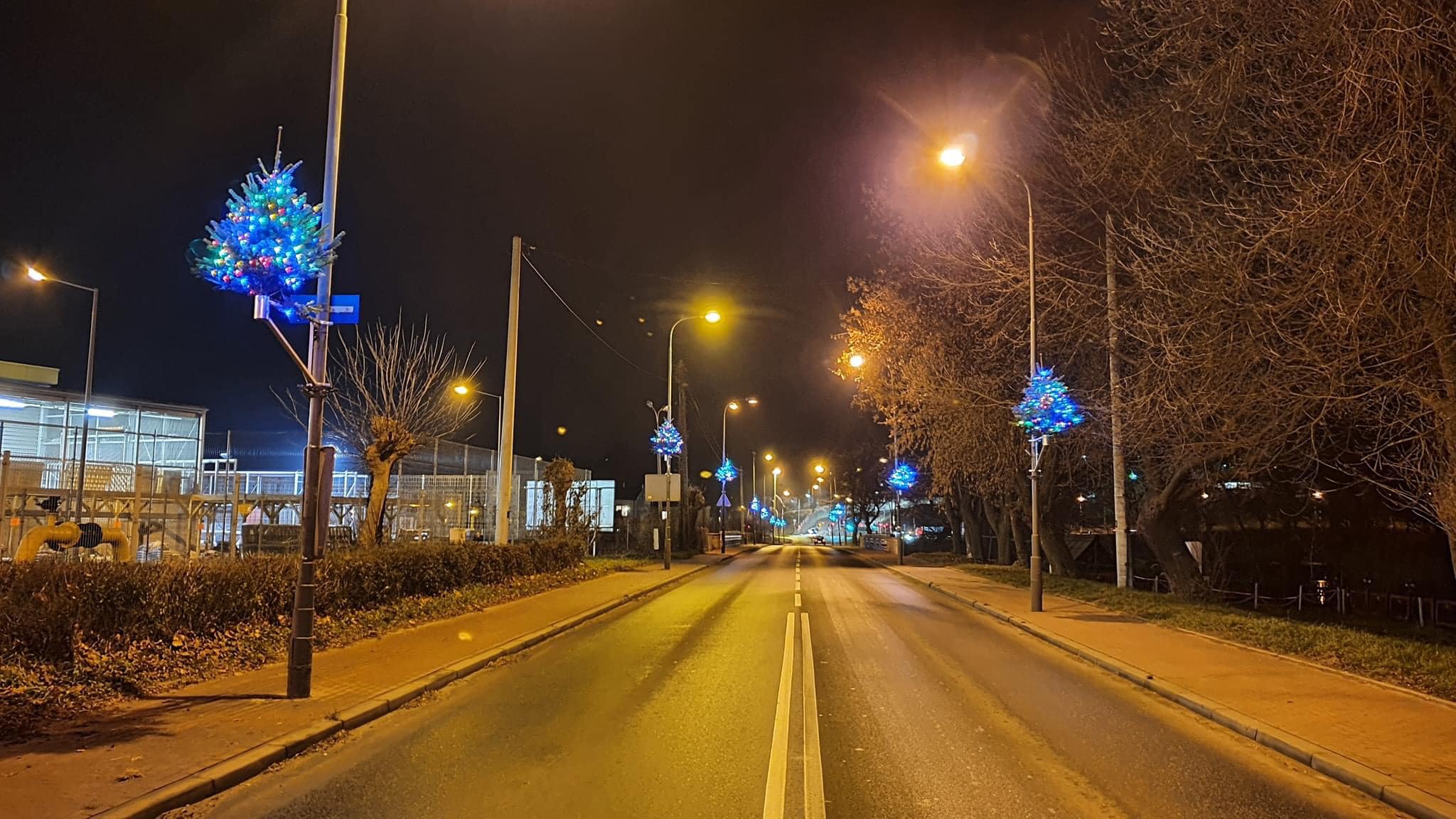 choinki na słupach na odcinku ul.Radomskiej fotoTelewizja Starachowice