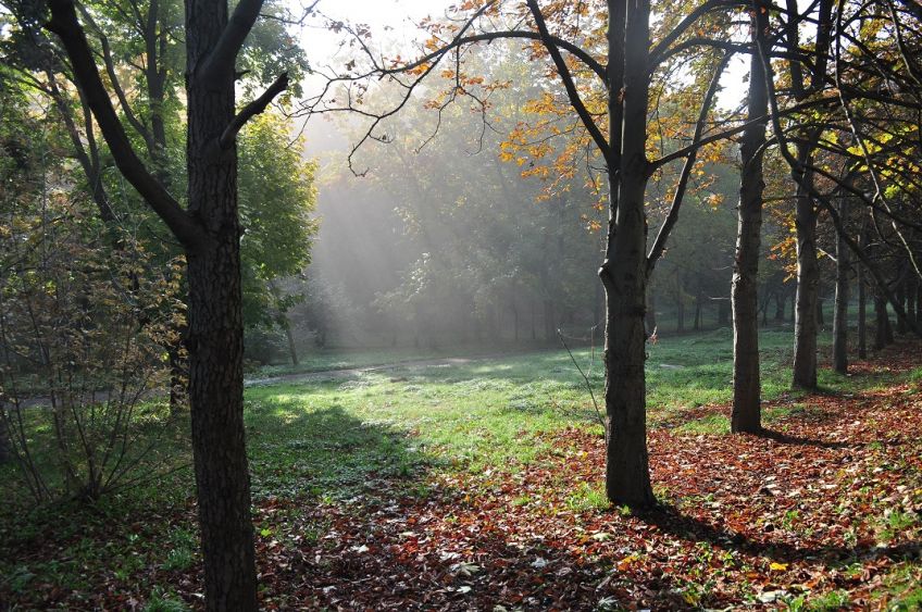 Starachowice zapraszają na swoje barwne szlaki turystyczne