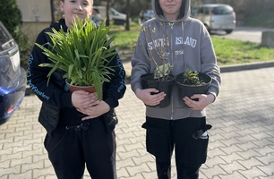 IMG_3640.JPEG