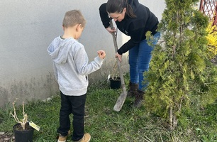 IMG_3720.JPEG