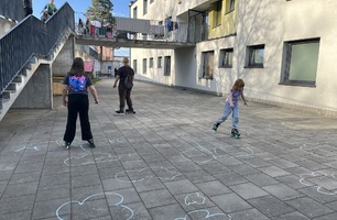 IMG_3910.JPEG
