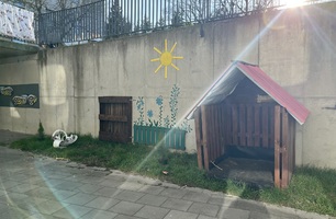 IMG_3929.JPEG